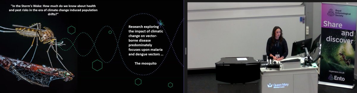 RoyEntSoc's tweet image. Next up is Freya Spencer, @Arctech_Innov, on the impact of adverse weather events and #ClimateChange on hygiene and pest-borne diseases transmitted by flies and cockroaches.

#RESExtreme24