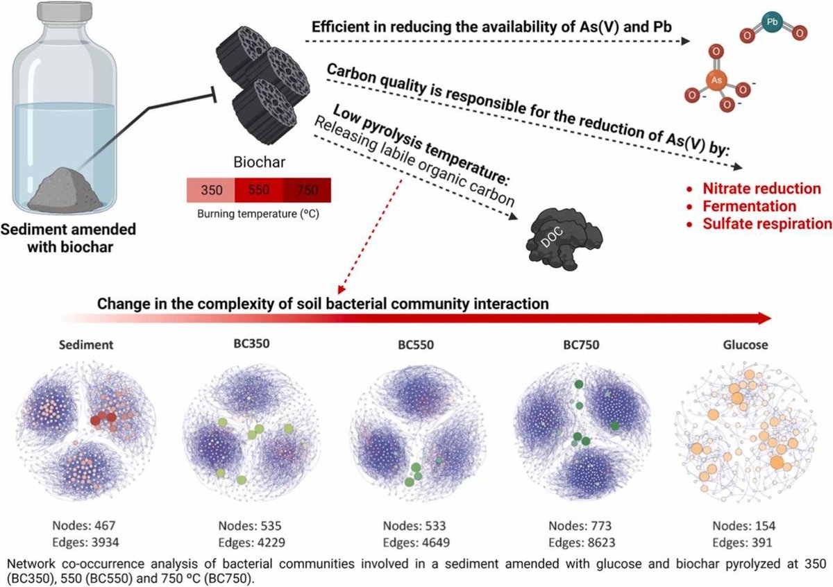 Redox conditions and biochar pyrolysis temperature affecting As and Pb biogeochemical cycles and bacterial community of sediment from mining tailings | Journal of Hazardous Materials sciencedirect.com/science/articl…