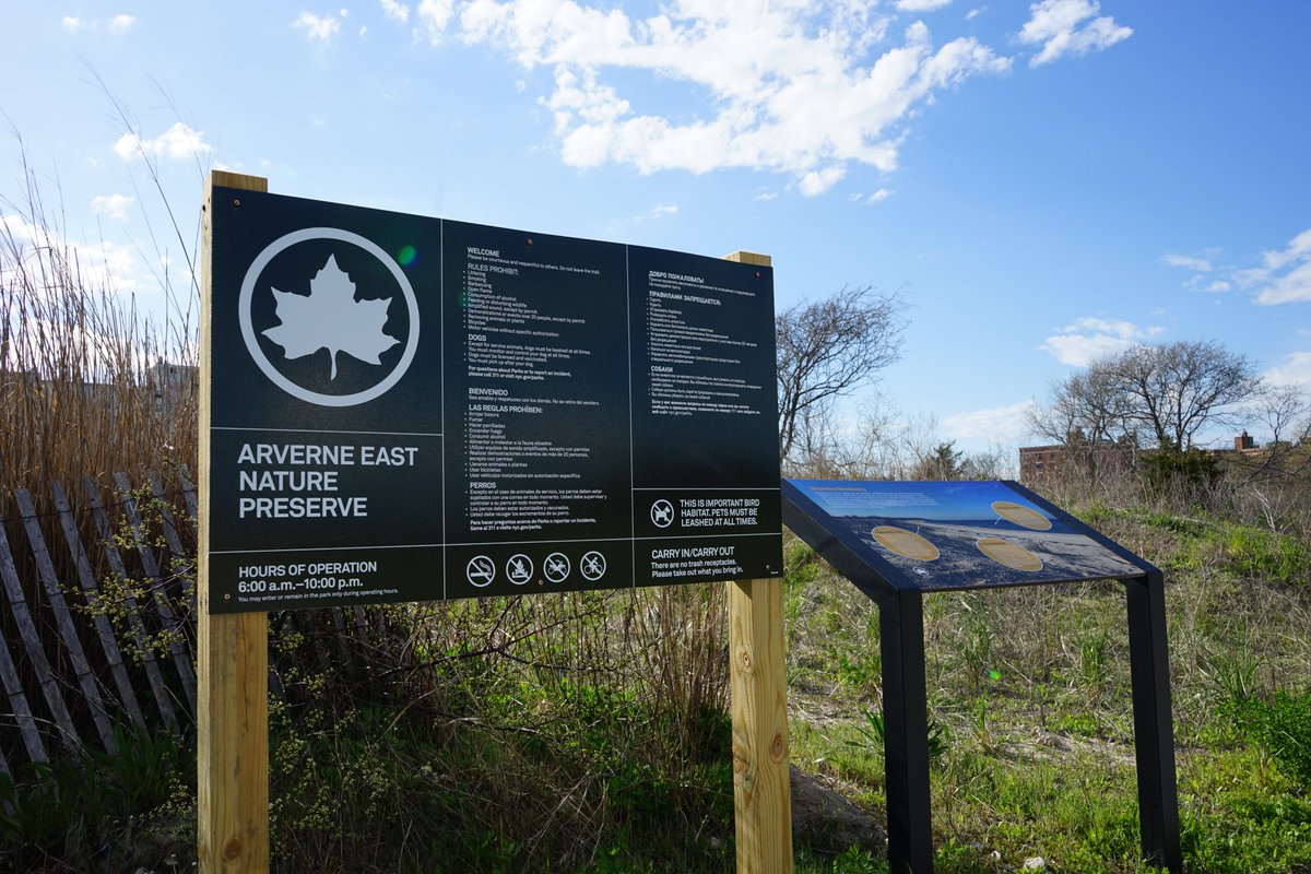 Arverne has been waiting decades for this moment to arise, and it's finally here. What once was a vacant illegal dumping ground is now a gorgeous 35-acre beachside nature preserve, complete with a multipurpose center. Cutting the ribbon on it yesterday was special beyond words.