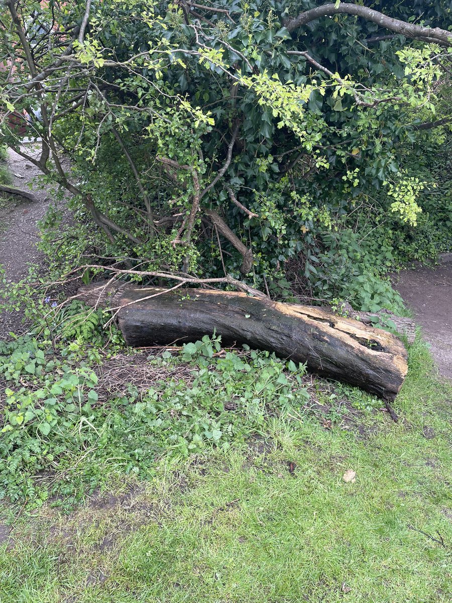 Another large log fished out of the water at Stanley Flight this morning. @CRTNorthWest @CRTvolunteers #volunteerbywater