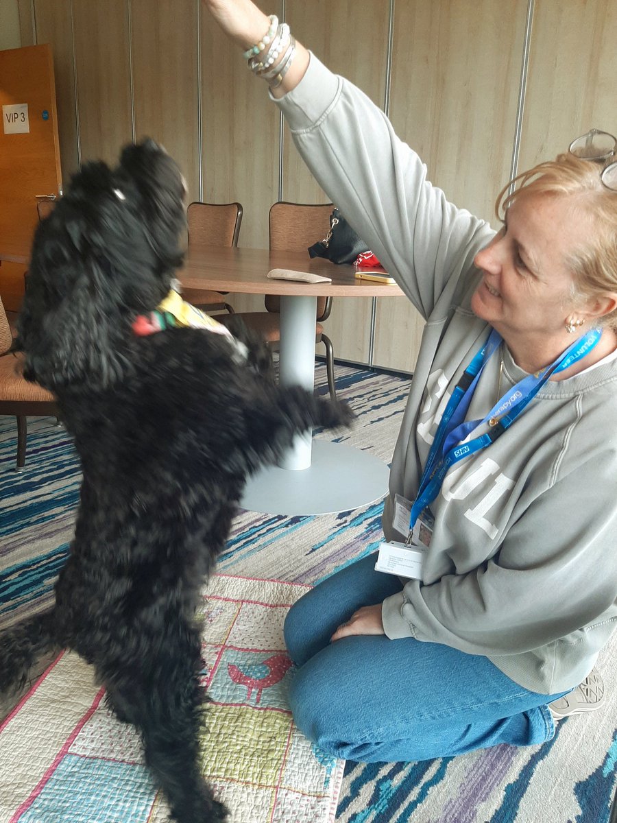 Our Therapy Dogs and owners have kindly attended today's Nursing and Midwifery Conference to bring a little joy and wellbeing to the lunchtime break for staff. Here's Quita and Olive in action! @SheffieldHosp @SHCFundraising