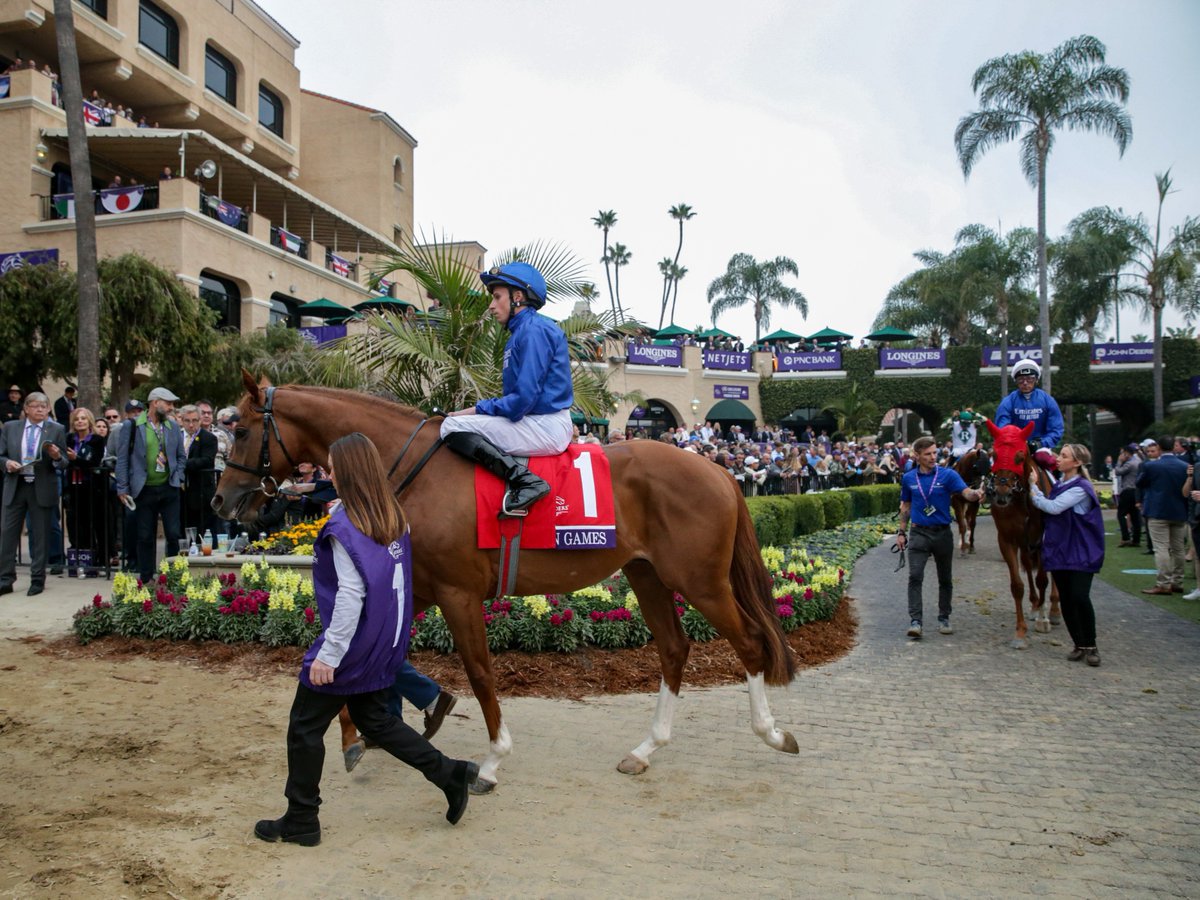 Tickets to #BC24 at @DelMarRacing are on sale now! 🎊 Get your tickets at: breederscup.com/tickets 📷: @EclipseSports