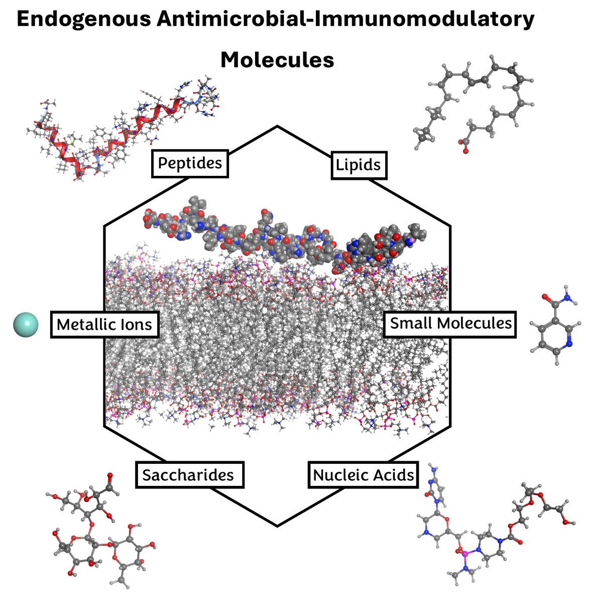 Endogenous Antimicrobial-Immunomodulatory Molecules: Networking Biomolecules of Innate Immunity pubmed.ncbi.nlm.nih.gov/38658319/ Beta-Amyloid is part of a synergistic self-triggering network of antimicrobial-immunomodulatory molecules - perhaps a useful insight for drug design!