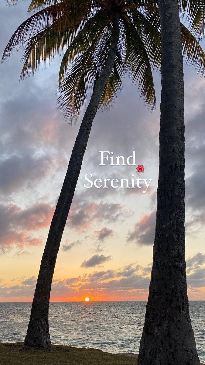 caag2020dac's tweet photo. We are waiting for you 🌴 https://t.co/r0hJp1fGMs
