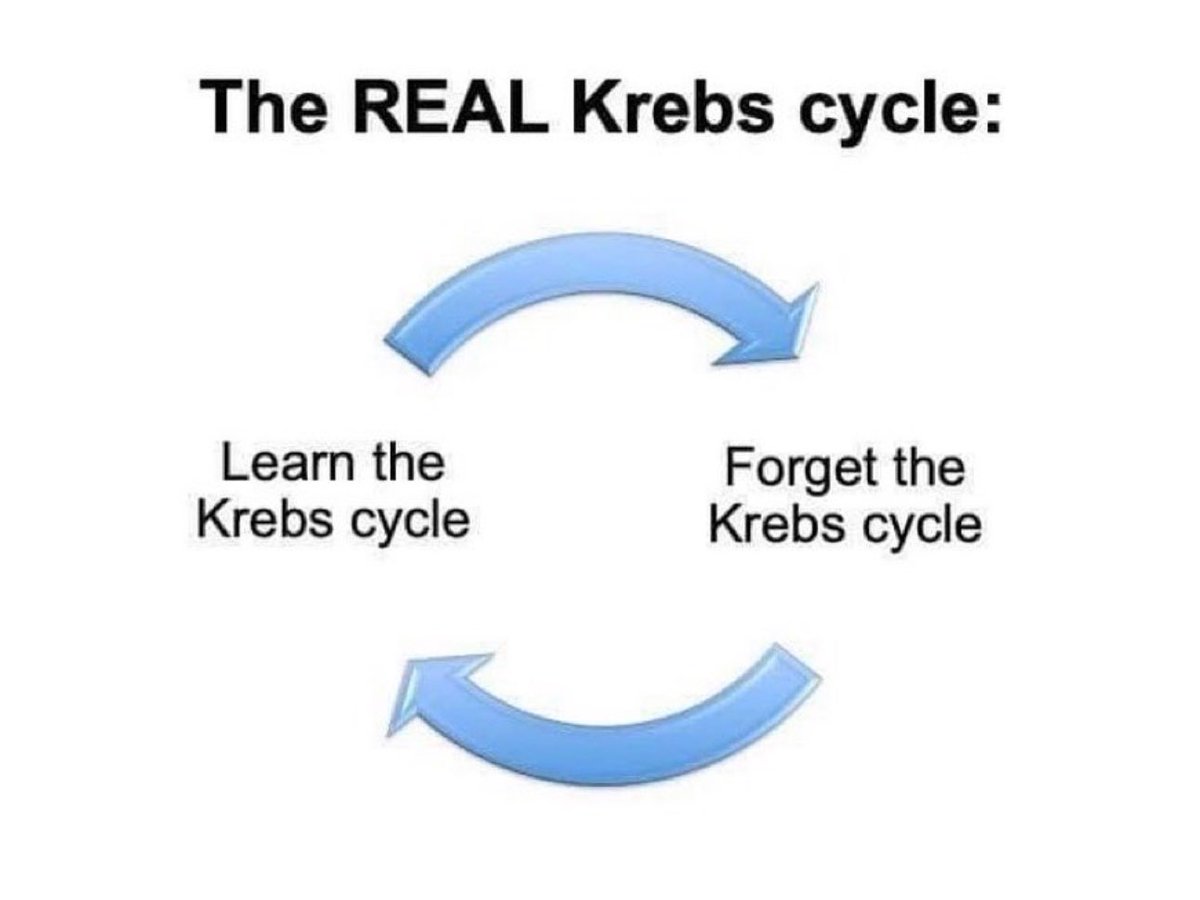 😅 The REAL Krebs Cycle
#Science