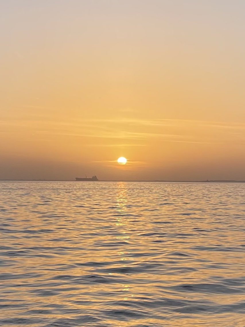 PannonianMantis's tweet photo. If you stare at the Sun, the Sun will stare back at you https://t.co/yYKoA8XPod