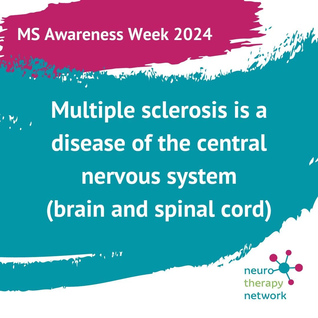 Impacting the central nervous system, MS directly affects the brain and spinal cord, disrupting essential communication pathways. Understanding this fundamental aspect is key to addressing the challenges of living with MS.

#MSAwarenessWeek #CentralNervousSystem #MSAwareness