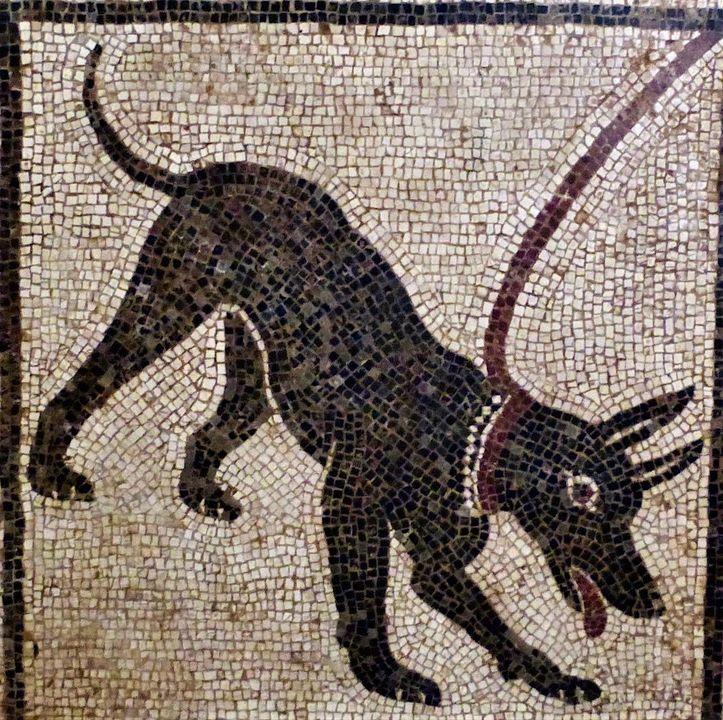 The #Roman festival of Robigalia took place on 25th April with games & the sacrifice of a red-coloured puppy. It was aimed to appease the god Robigus, god of rust & responsible for agricultural diseases - rust seen as a disease that affected the crops.