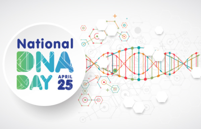 Celebrating the blueprint of life on National DNA Day, April 25th! 🧬 Discover the wonders of genetics and the power of understanding our own biological code. #NationalDNADay #Genetics #DNADiscovery #internalmedicine #meridianms #mississippihealthcare