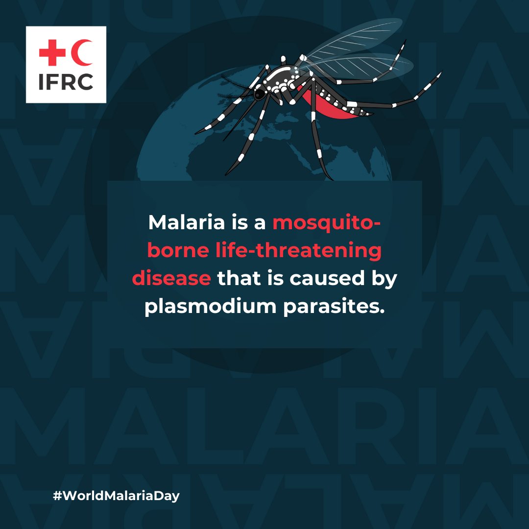 Malaria is a preventable and treatable disease transmitted by mosquitoes. The @IFRC’s work tackling malaria focuses on supporting Red Cross and Red Crescent Societies (particularly in Africa where the disease is most common) to plan and deliver high-quality malaria activities.…