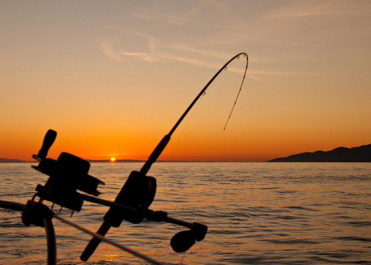Are you getting the itch to fish? If so and if you are in some new gear, come check out our online store at buff.ly/4bt083p and make your order today.

#fishing #fishinggear #fishingtackle #fishinglife #fishingrod #fishingreel #fishingaddict