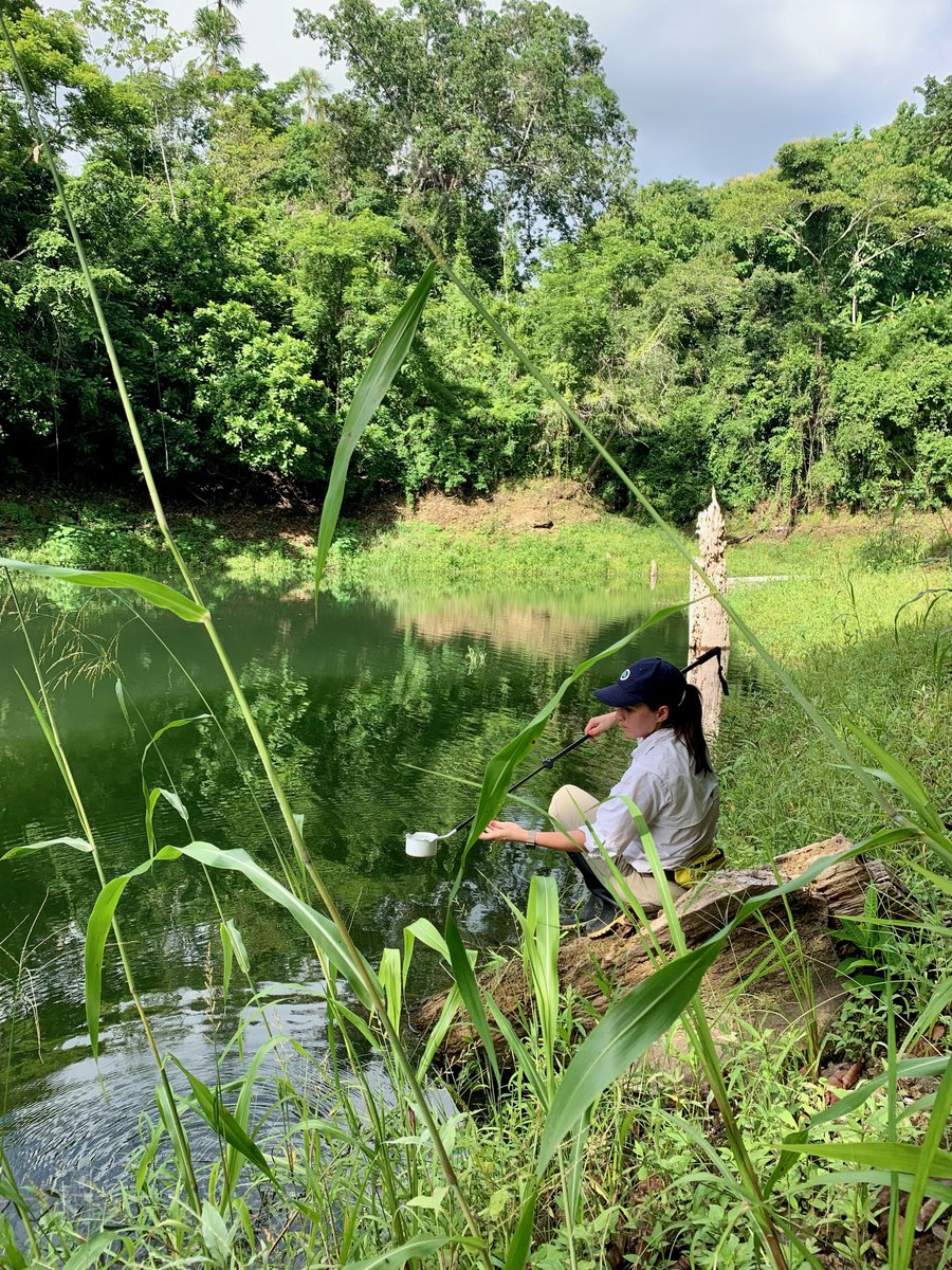 “I really enjoy communicating with communities. People light up when we tell them what we're working on.” This #WorldMalariaDay read the #OxitecPeople piece by Eileen Jeffrey, Oxitec’s Field Operations Manager in Panama 🇵🇦working on #malaria mosquitoes. ⤵️ oxitec.com/en/news/oxitec…