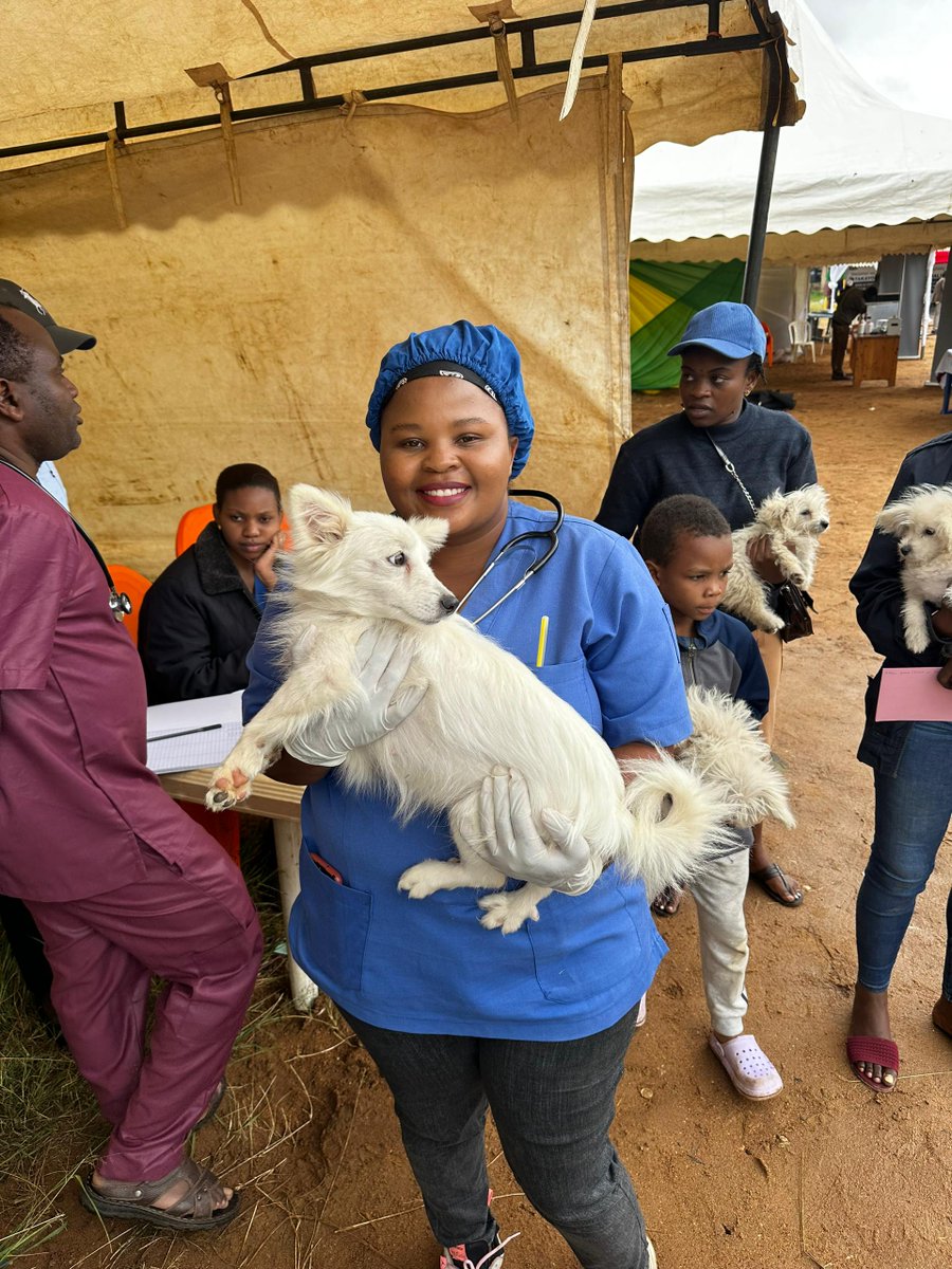 FAO in Tanzania tweet media