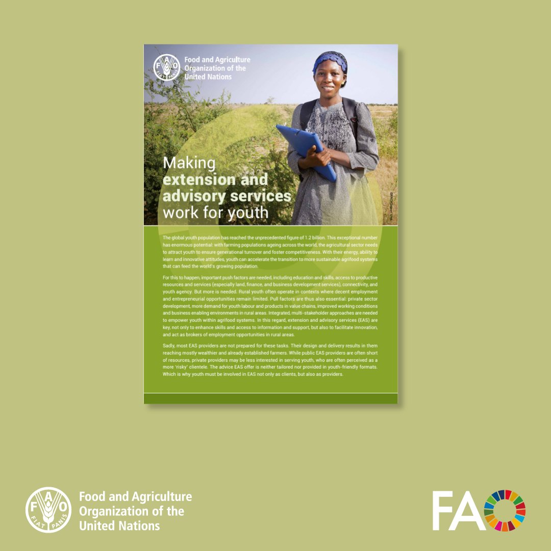 With 1.2 billion global youth, leveraging their tech-savvy for sustainable agrifood systems is crucial. This @FAO publication explores how youth-friendly advisory services can attract youth & enhance agrifood systems. 👉 ow.ly/wVvb50RmXMn #GirlsinICT