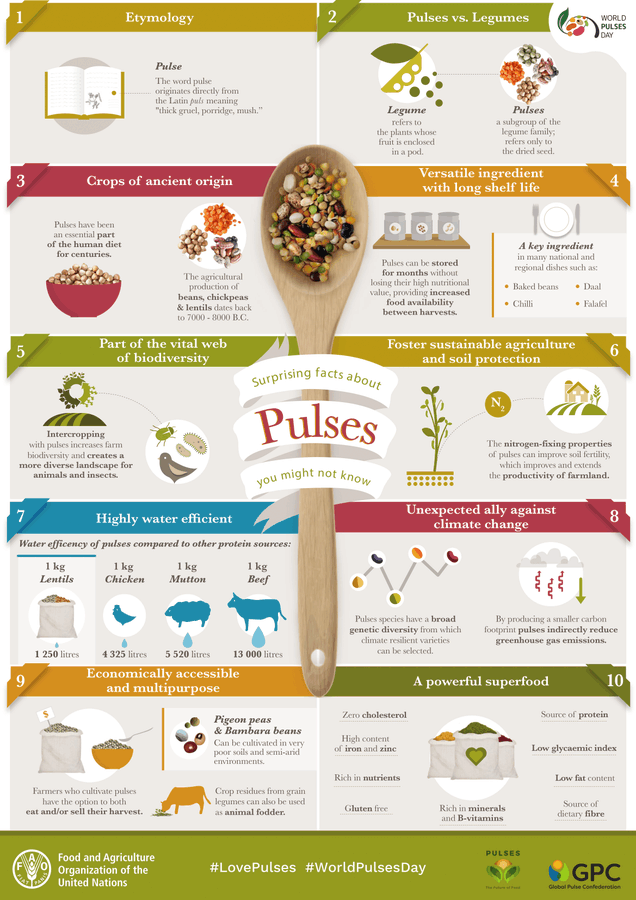 There are many reasons to #LovePulses for a healthy diet and planet!🌍🌱
Pulses are part of our planet’s rich variety of food sources and #biodiversity.
Discover 10 interesting facts on pulses w/ the infographic by @globalpulsesgpc @fao & @lovepulses
👇