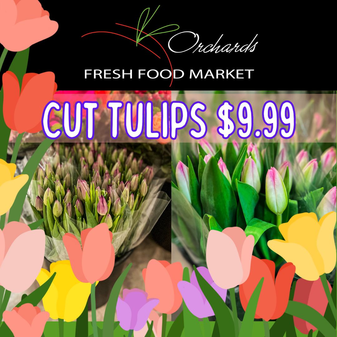 Cut Tulips are back in stock for $9.99 per bouquet! #flowerslovers #tulipslover #bouquetsofflowers #onlyatorchards #wherefreshcomesfrom