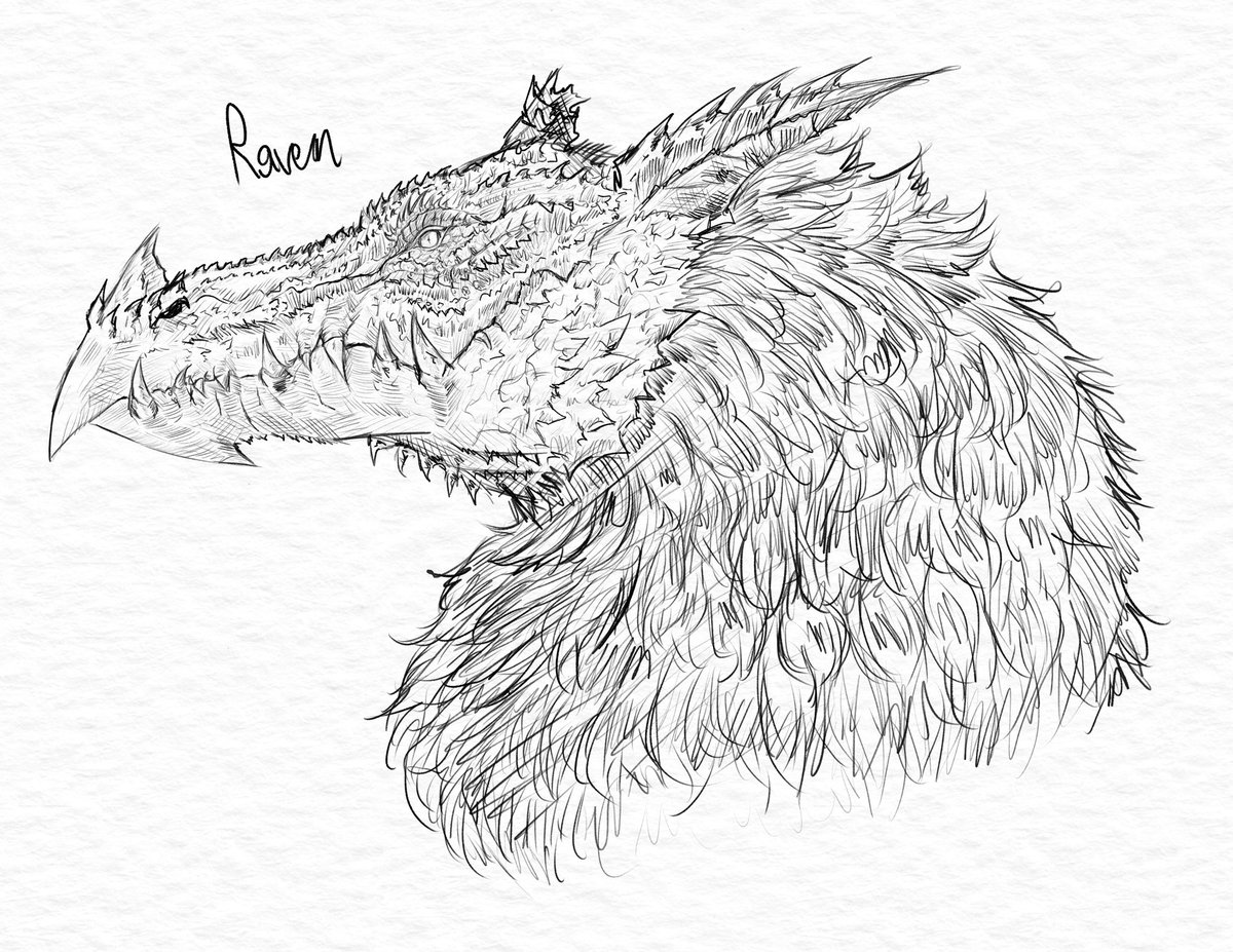 #pathtonowhere dragon raven sketch