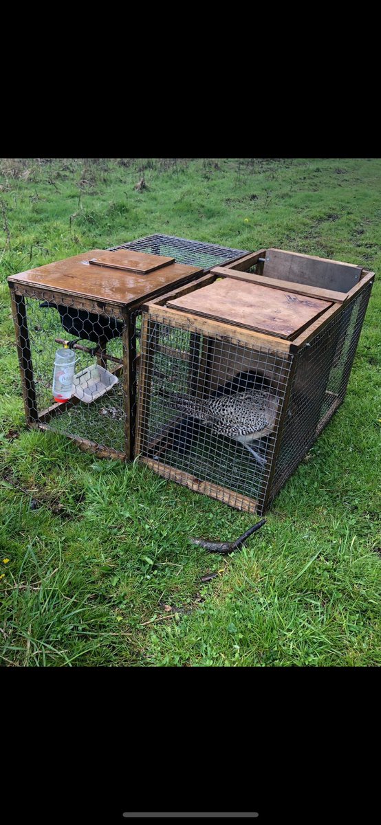 Matt Skinner tweet media