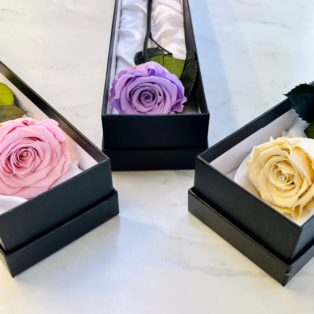 If you could choose your perfect rose colour, which would be your favourite?!💜💖💛 

#infinityroses #preservedroses #roses #foreverroses #giftideas #perfectgift #luxurygifts #oneyearroses #eternalroses #rosesthatlast #rosebox #foreverblooms #anniversarygift #rosearrangement