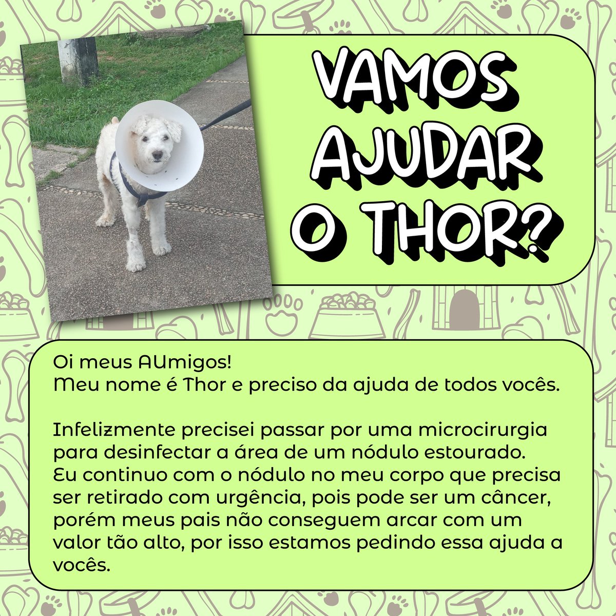 itslulululu's tweet image. Oi gente! Meu cachorrinho está passando pro um problema de saúde e quem puder ajudar eu ficarei eternamente grata! 

Se puderem ajudar nem que seja com um compartilhamento, será muito importante pra gente!!!