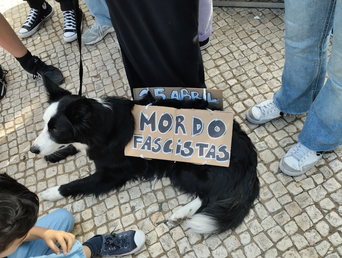 Cãozinho baseado ✊🏾