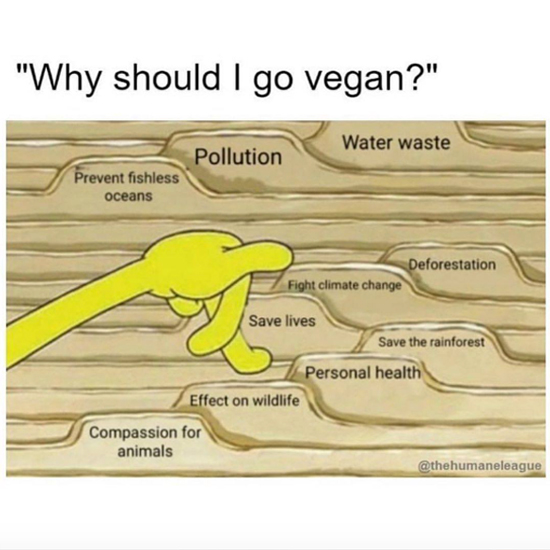 There are SO many reasons to go vegan! 💚🌱🌱

#ThursdayThoughts #GoVegan #veganism #ClimateCrisis #EndAnimalAg #stopanimalabuse #SaveOurOcean #savewater #deforestation #VeganForTheAnimals #VeganForThePlanet