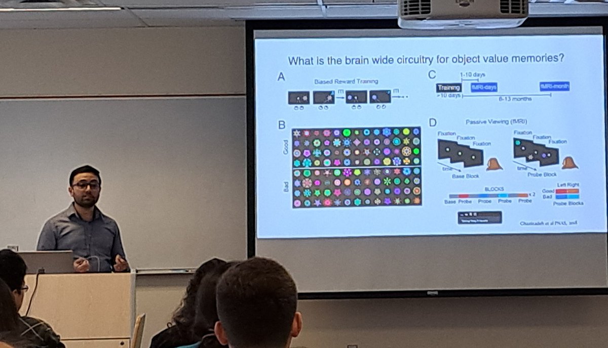 Kudos Dr. @AliGhazizadeh11 for giving a fantastic talk on value learning, memory, and visual search today!