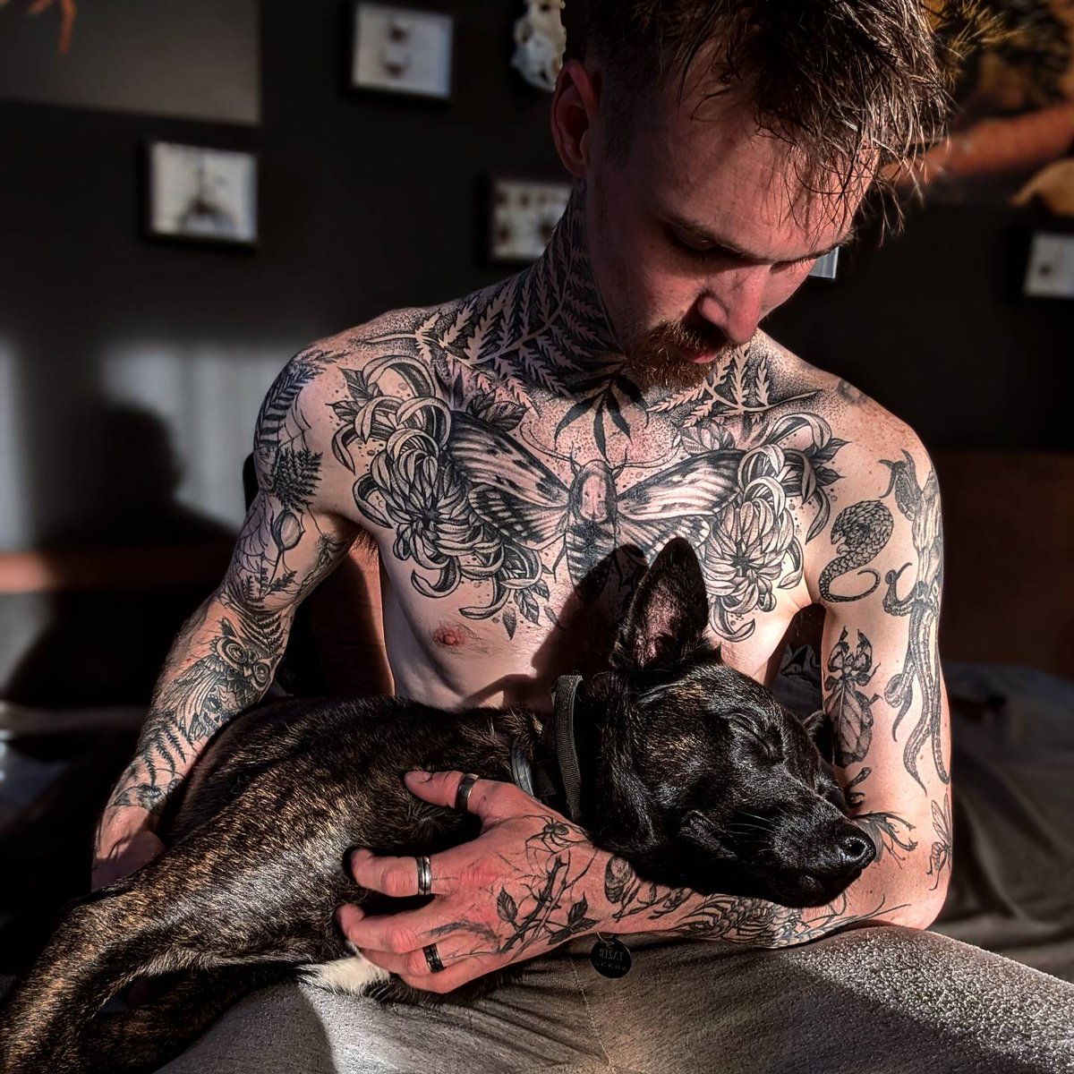 Jordan Cadiot tweet media