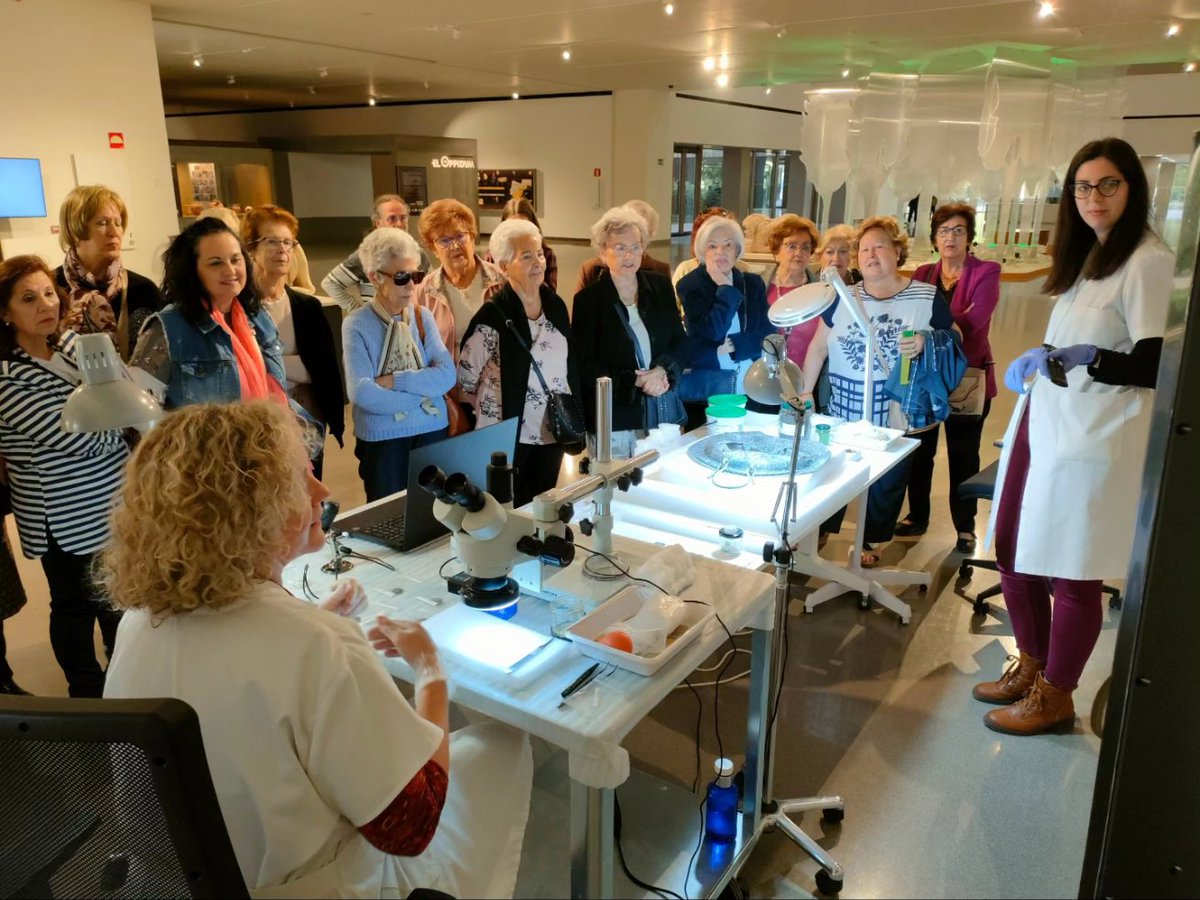 Restaurando en directo en el @Museo_Ibero para que el público visitante conozca de primera mano las distintas técnicas y tecnologías que se utilizan en la actualidad para restaurar las piezas arqueológicas y conservarlas o exponerlas en su mejor forma

#VenAlÍbero #VenAlMuseo