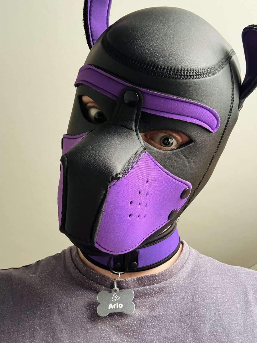 puparlo90's tweet photo. Finally got my own name tag and I love it! 💜🐶
#Pup #dutchpup #PuppyPlay #gaypup #PupPlay #humampup https://t.co/9EgsrzAluo