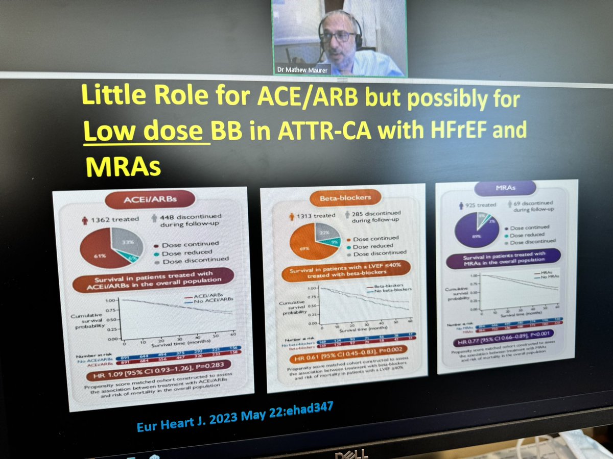 Medical Therapies for Amyloid related HF: MRA and SGLT2i tend to be tolerated well