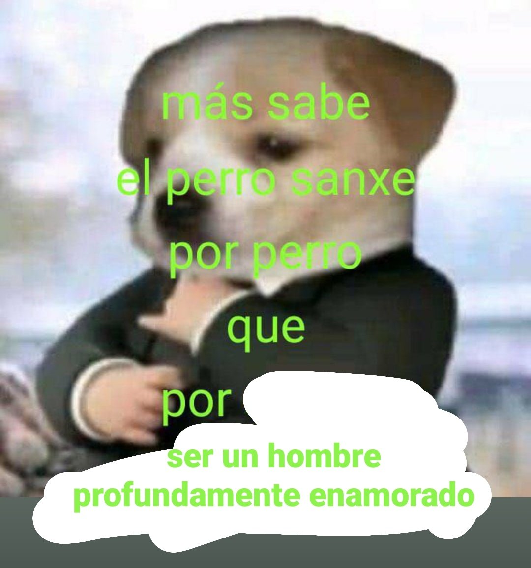 TuitsMeme's tweet photo. Más sabe Perro Sanxe... https://t.co/SUUtM3AIM6