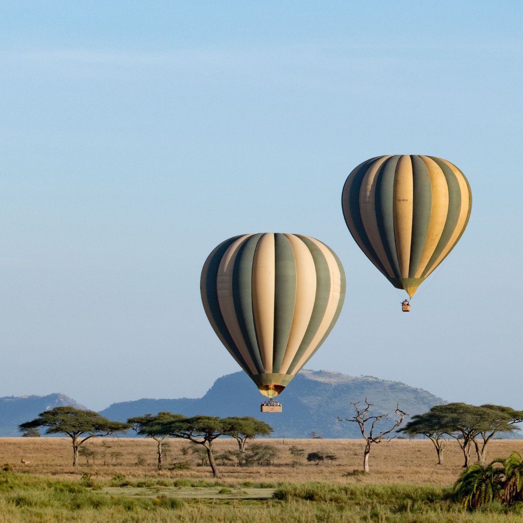 Hot air balloon safaris offer a unique and breathtaking way to experience the wildlife and landscapes of Africa from a different perspective. 🦓

Here's  @ renatours.com/serengeti-nati…

#renatours #TanzaniaSafari #tanzania #hotairballoon #hotairballoonsafaris #safaris