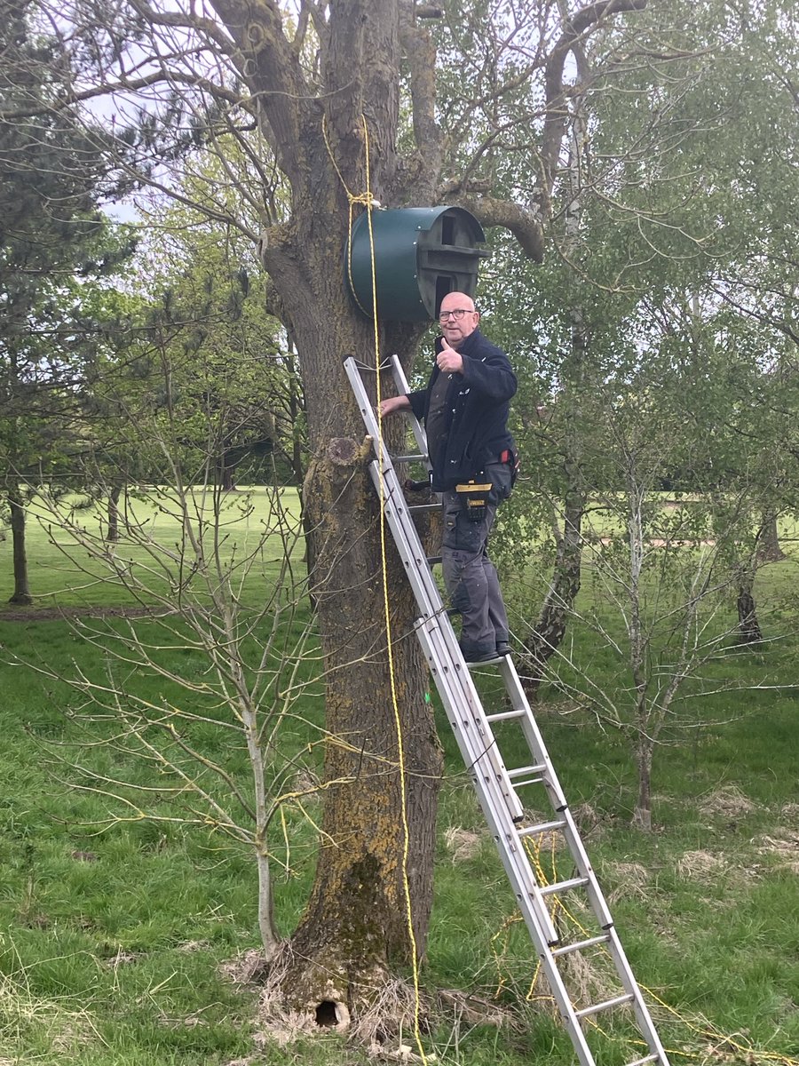 The south Leicestershire owl box boys are out again!!😜