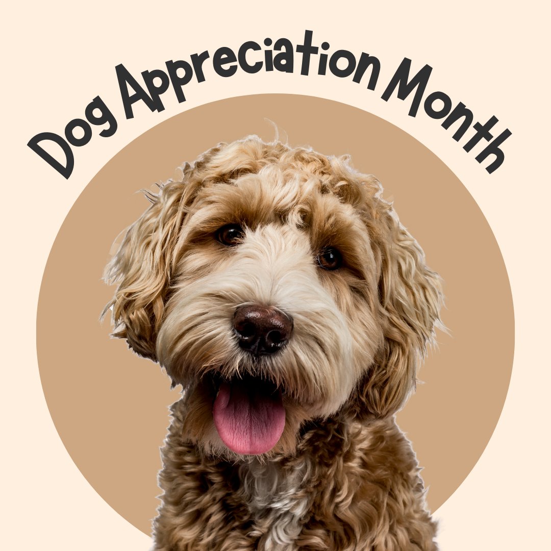 Happy #DogAppreciationMonth!
