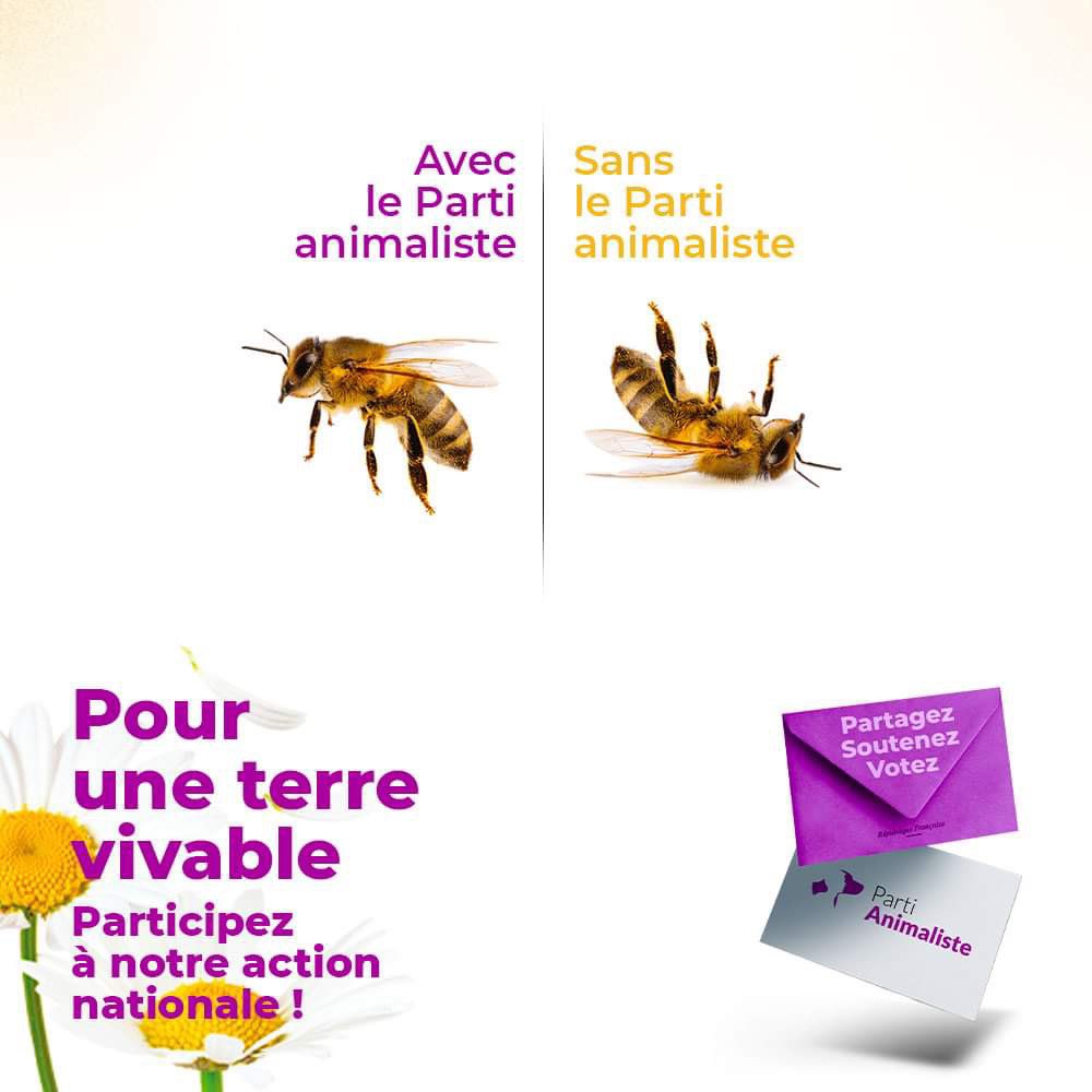 🟣Action nationale @PartiAnimaliste à Saint-Etienne et Roanne le samedi 27 avril. 🌍 Préserver notre environnement est essentiel pour protéger les animaux et les générations futures. #OnRecolteCeQueLonVote #electionseuropeennes2024
