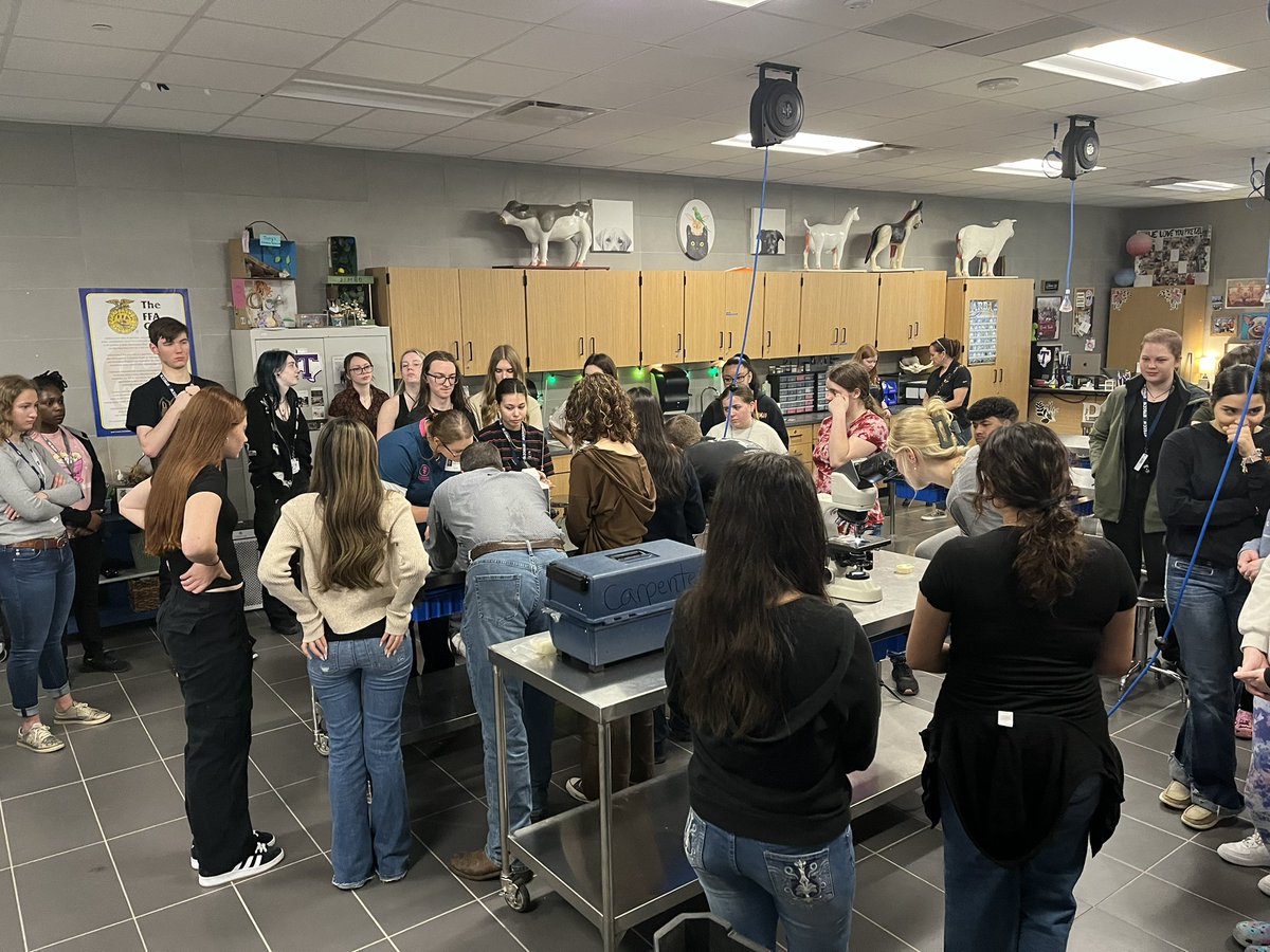 We have some special visitors to campus today. 2 show heifers from @LewisvilleFFA were Artificially Inseminated during class by Veterinarian Brant Carpenter. Students observed the procedure and then evaluated the samples. @lisdcte @LewisvilleISD @GilbreathJustin @TECCW_VetSci