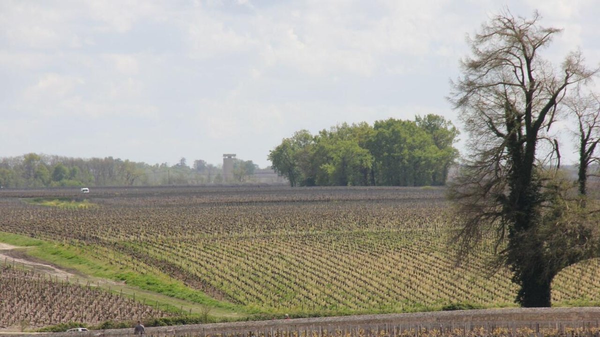 En 2023, le commerce mondial de vin plombé par la conjoncture économique rfi.my/AY8I.x