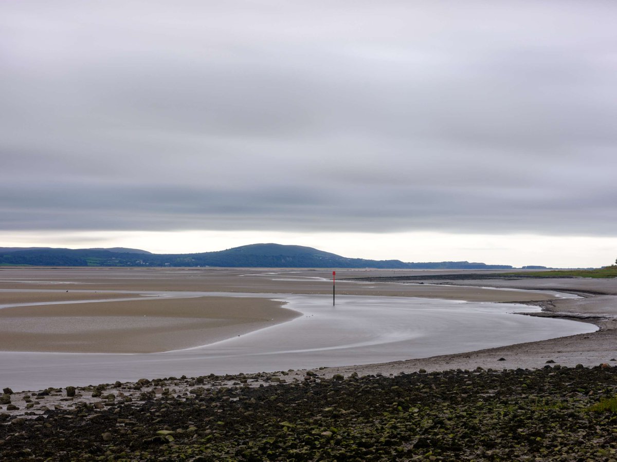 We've chosen Dŵr Hallt for this week's Welsh wetland word(s).

Dŵr = water, Hallt = salty. 

Wetlands can be freshwater, Dŵr Hallt, or a mixture of both. When the sea and a river meet at the shoreline they create estuaries. Just like the Loughor Estuary.

#WordsForWetlands