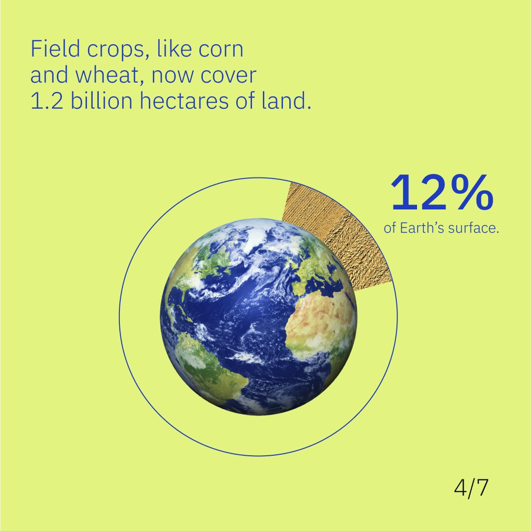 What does cropland expansion mean for our planet? How can we feed a growing population without expanding croplands into valuable natural ecosystems? Register for our webinar on April 29, 10AM EDT to learn more: bit.ly/3WbW9Uh @landcarbonlab @BezosEarthFund @FAO @CGIAR