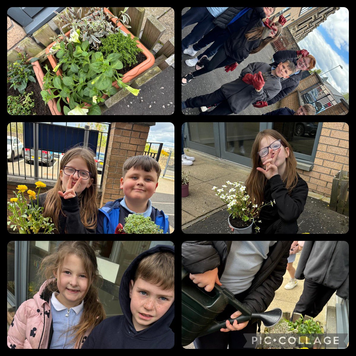 Feel Good Thursday took the opportunity of the ☀️ to plant some plants and brighten our front entrance. 🌺 @EducationSLC @slcHealthy @SLC_RAiSE #TeamBurgh #DREAMBigatBurgh