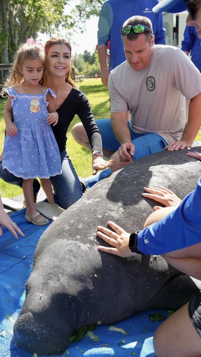 Today, Mamie and I had the privilege of watching Toast, a 3 year old manatee, get released into Florida’s springs after being nurtured back to health. Florida has invested billions of dollars to restore and protect our environment. Today was just one heartwarming example of…