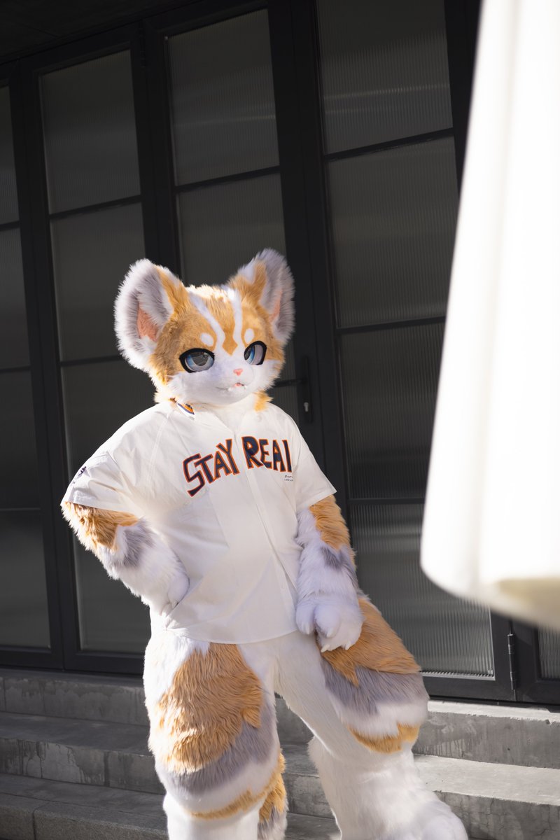 你就是一道光有无限可能
#FursuitFriday #fursuit #furry #mofumofu手作