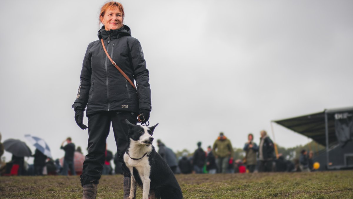 Will Aled win the world title for the third time or will a newcomer surpass expectations? 🏆 All episodes of Sheepdog Showdown available now on @BBCiPlayer