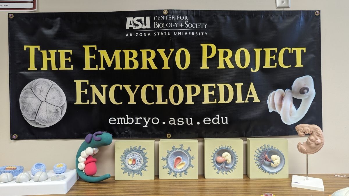 Learn how the Embryo Project is helping improve biology and society students’ writing skills with constructive feedback and how instructors are building a community through this program. Read more: buff.ly/49JrpNr