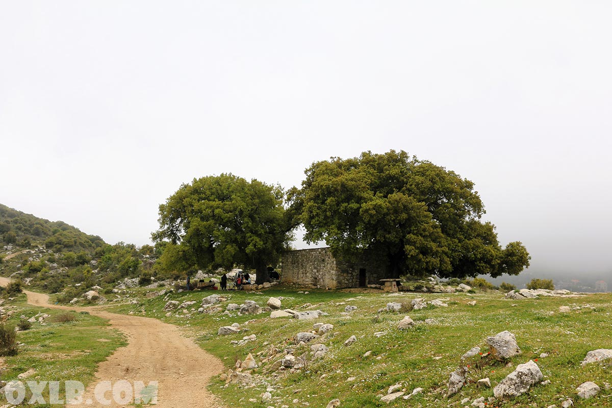 onefineart's tweet photo. I will walk a little above the beautiful small church to take some pictures from the hill... (Mar Seba Church in Mayfouq)
https://t.co/QupEaHtcuw
#littlewalk #smallchurch #oaktree #lebanon #lebanonhike #discoverlebanon #lebanonpostcard #mayfouk #mayfouq https://t.co/jLKsppbbVP