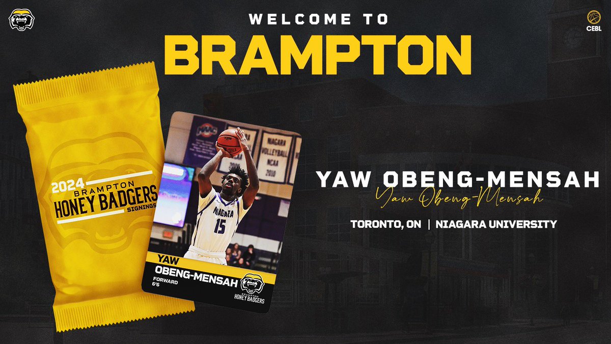 SIGNED ✍️ Excited to welcome @yawtheballer to the squad! The Toronto native is coming off a season where he averaged 10.2 points, 5.0 rebounds, 1.7 assists, and 24.9 minutes in 28 games as a senior with @niagarambb 🗞️: honeybadgers.ca/honey-badgers-… #WeAreBrampton | #PullUp
