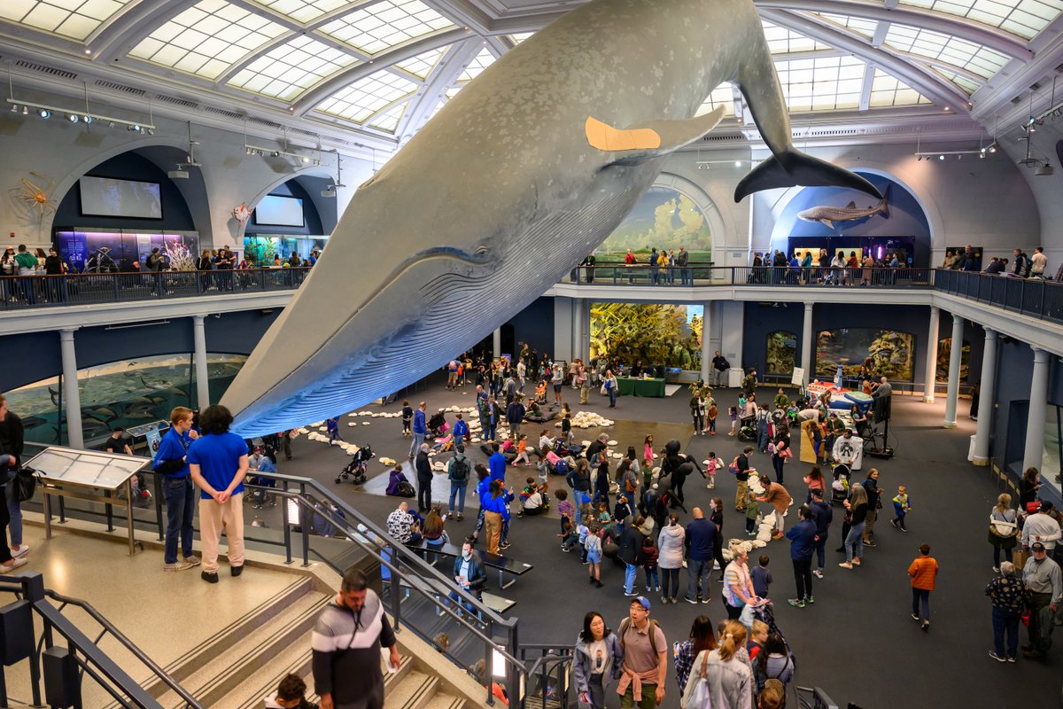 Are you in the #NYC area and looking for some fun? Join us this Saturday at @AMNH for EarthFest'24! Play games, learn cool science, and walk away with some exclusive #IODP goodies. We'll be in the Hall of Ocean Life 10am-4pm on Saturday, April 27th. Don't miss it! 📸 AMNH