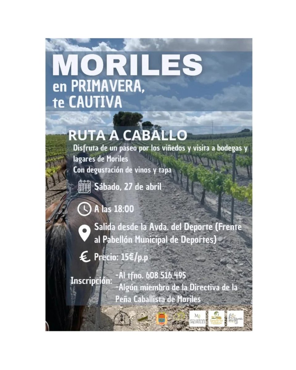 🐴 Ruta a caballo en Moriles 🍷

#elenoturismoestademoda @rutasvinoespana 
#rutadelvinomontillamoriles #rutaacaballo #enoturismo #enoturismoactivo #moriles