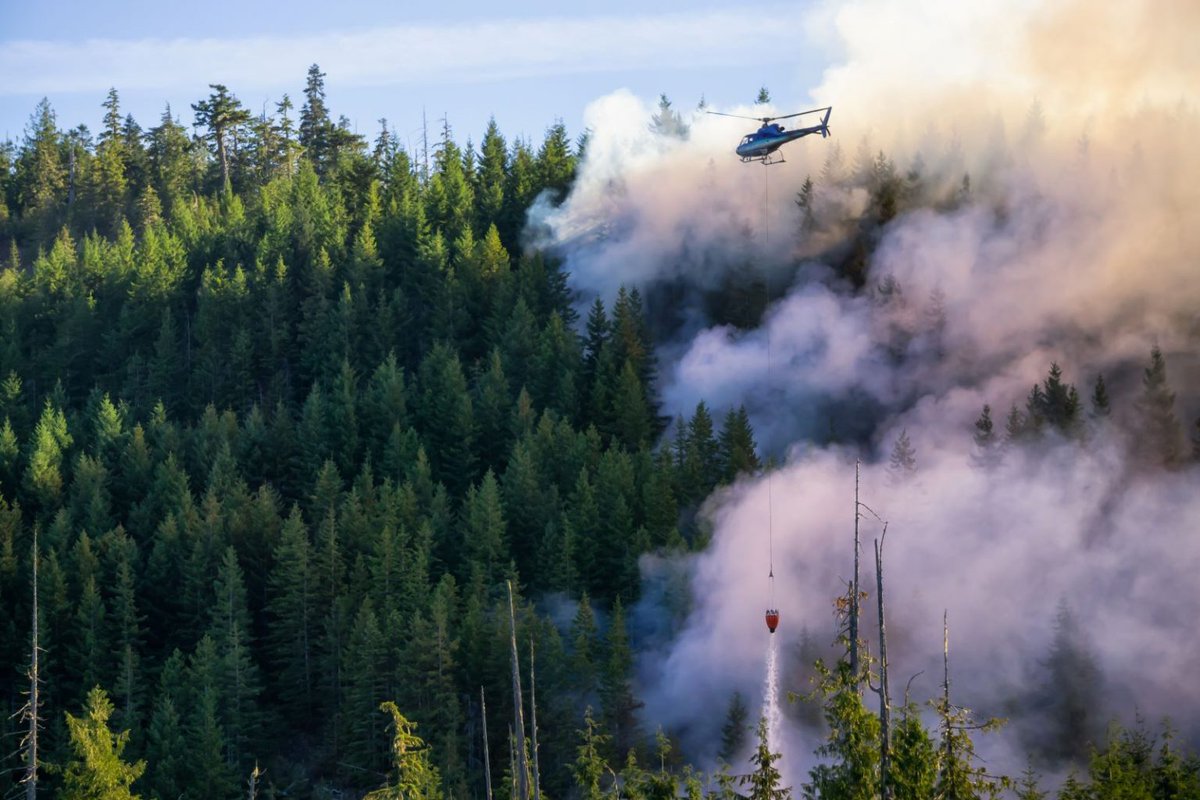 𝕎𝕙𝕒𝕥'𝕤 𝕟𝕖𝕨 𝕒𝕥 ℕ𝔸𝕌? 🗞️ A team of Flagstaff and @NAU engineers are competing for a $11 million grand prize to fund research to rapidly detect wildfires and prevent further destruction. 🔗 bit.ly/4avJZtL